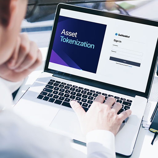 asset tokenization demo